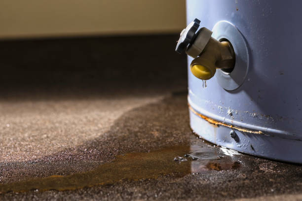 Best Local water damage restoration  in Rib Mountain, WI