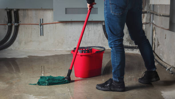 Best 24/7 water damage repair  in Rib Mountain, WI
