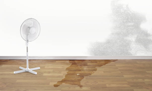 Professional Water damage restoration in WI