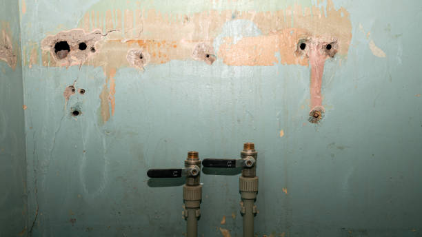 Best Flooded house restoration  in Rib Mountain, WI