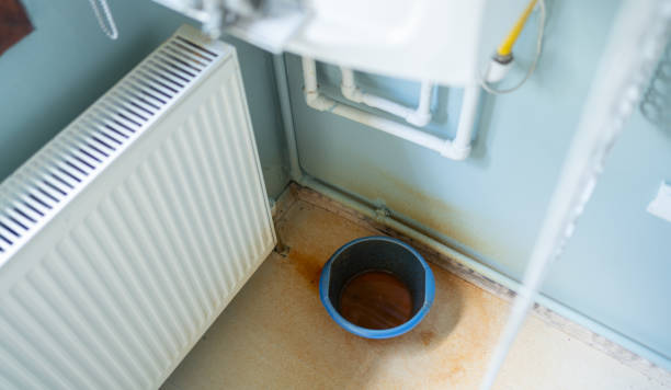 Best Water damage cleanup near me  in Rib Mountain, WI
