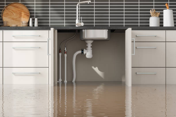 Best Water damage restoration mold remediation  in Rib Mountain, WI