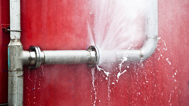 Best Mold removal after water damage  in Rib Mountain, WI
