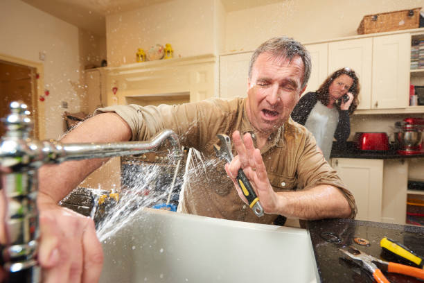 Best Fire Damage Restoration  in Rib Mountain, WI